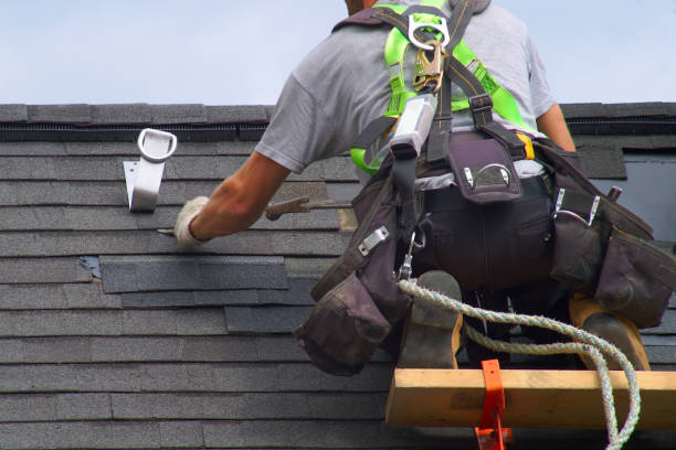 Best Roof Gutter Cleaning  in Cecilia, LA